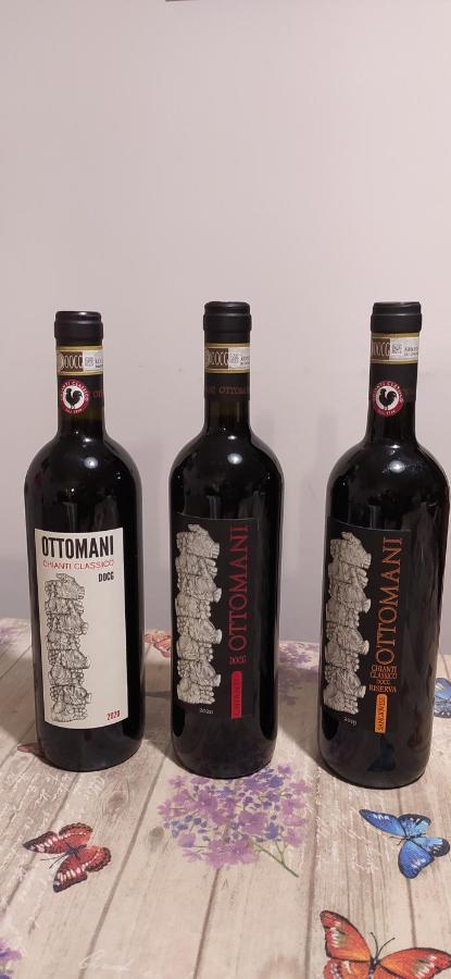Appartamento Sezzate 40 Strada in Chianti Exterior photo